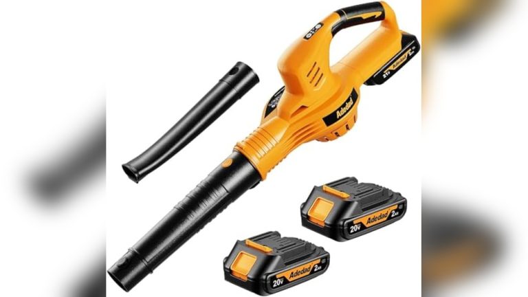 Best Lithium Battery Leaf Blower